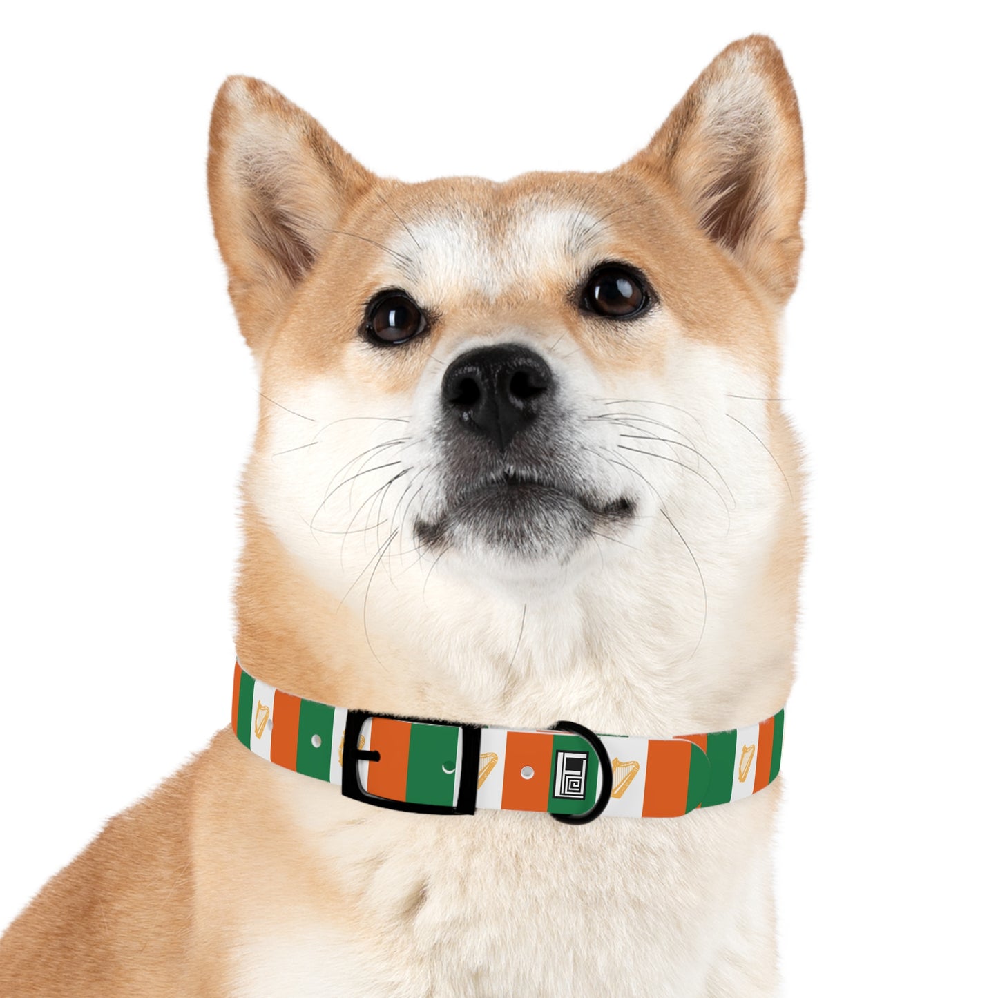 Dog Collar - No. 007 - Harp