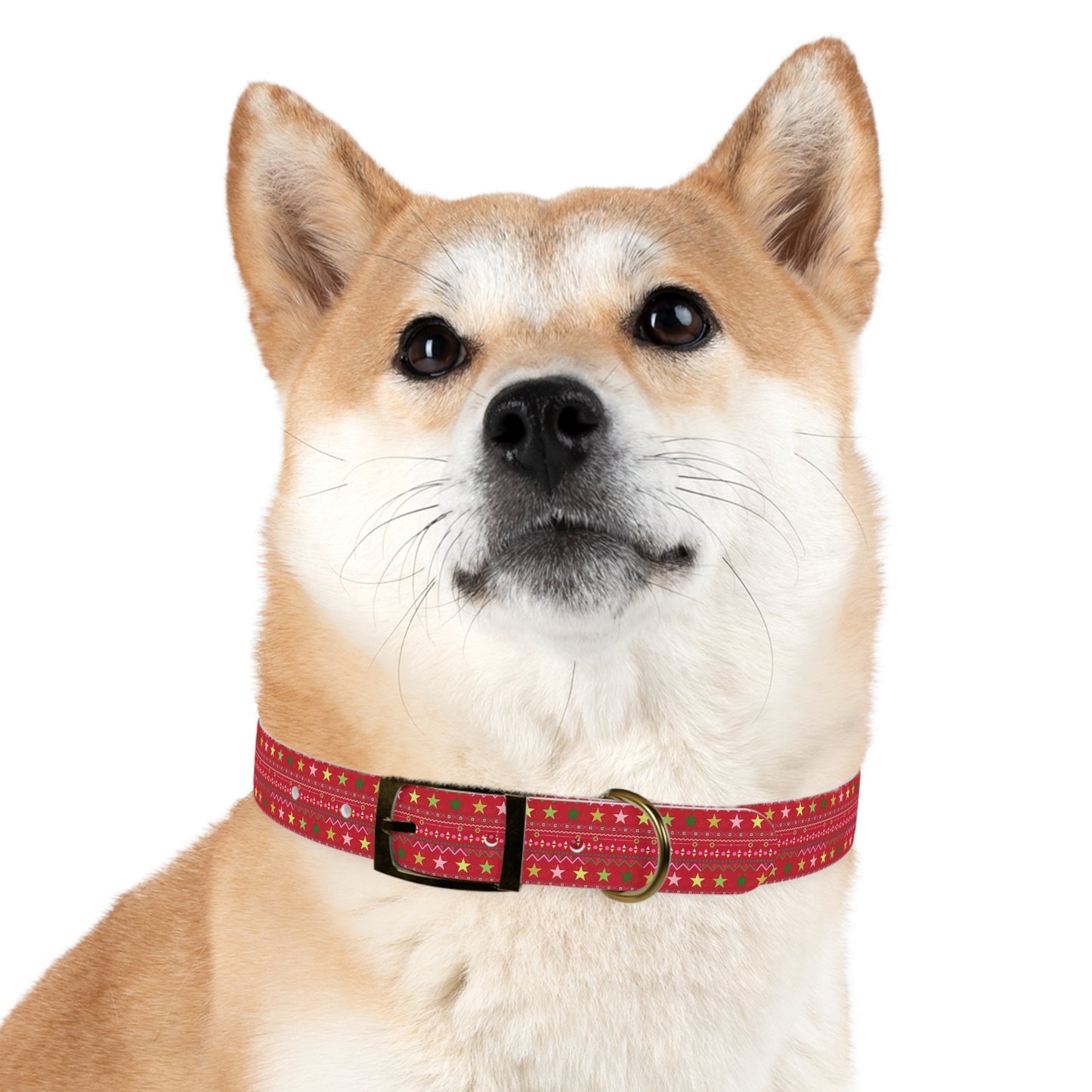 Dog Collar - No. Xmas 2
