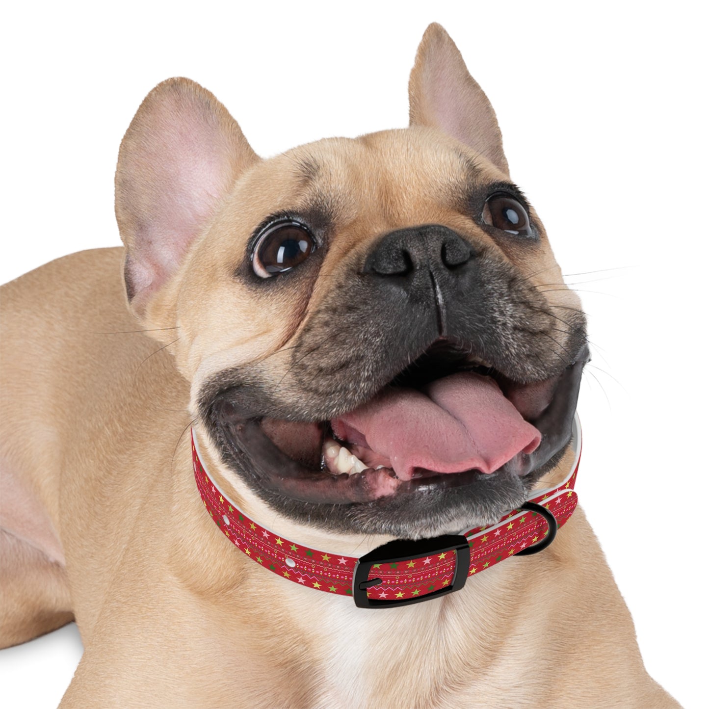 Dog Collar - No. Xmas 2