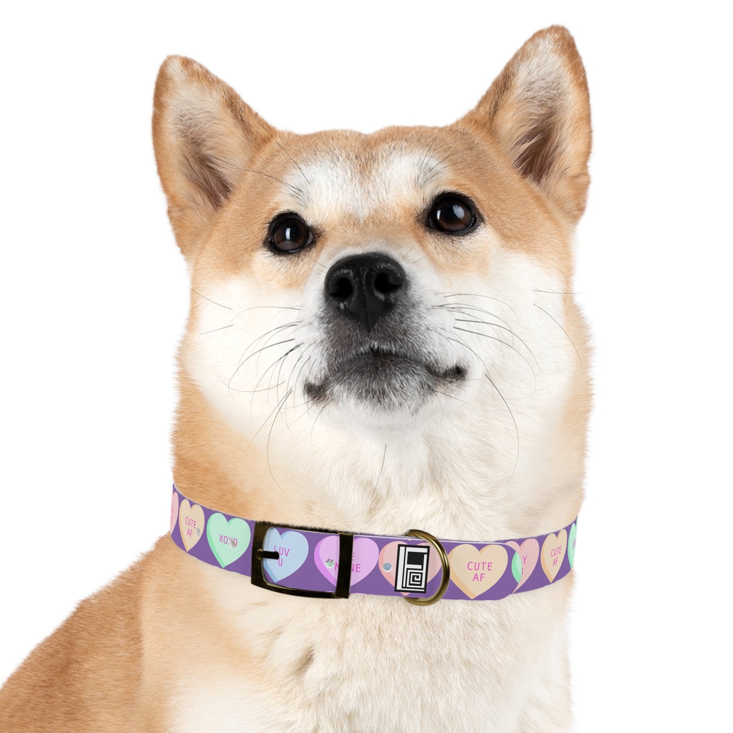 Dog Collar - Purple with Hearts