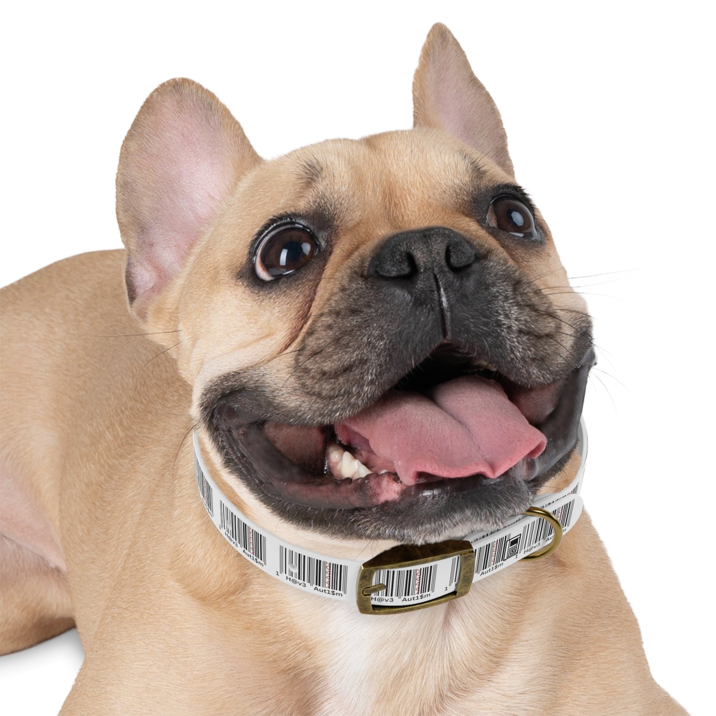 Dog Collar - No. 310
