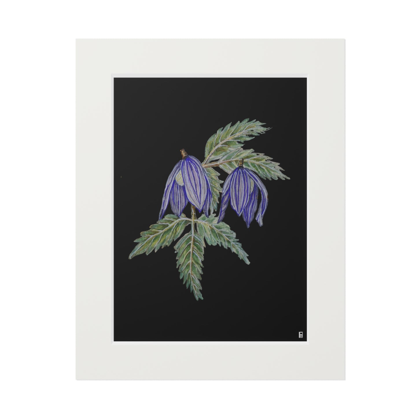 Fine Art Print (Cardboard Frame) - No. 270 - Two purple flowers B