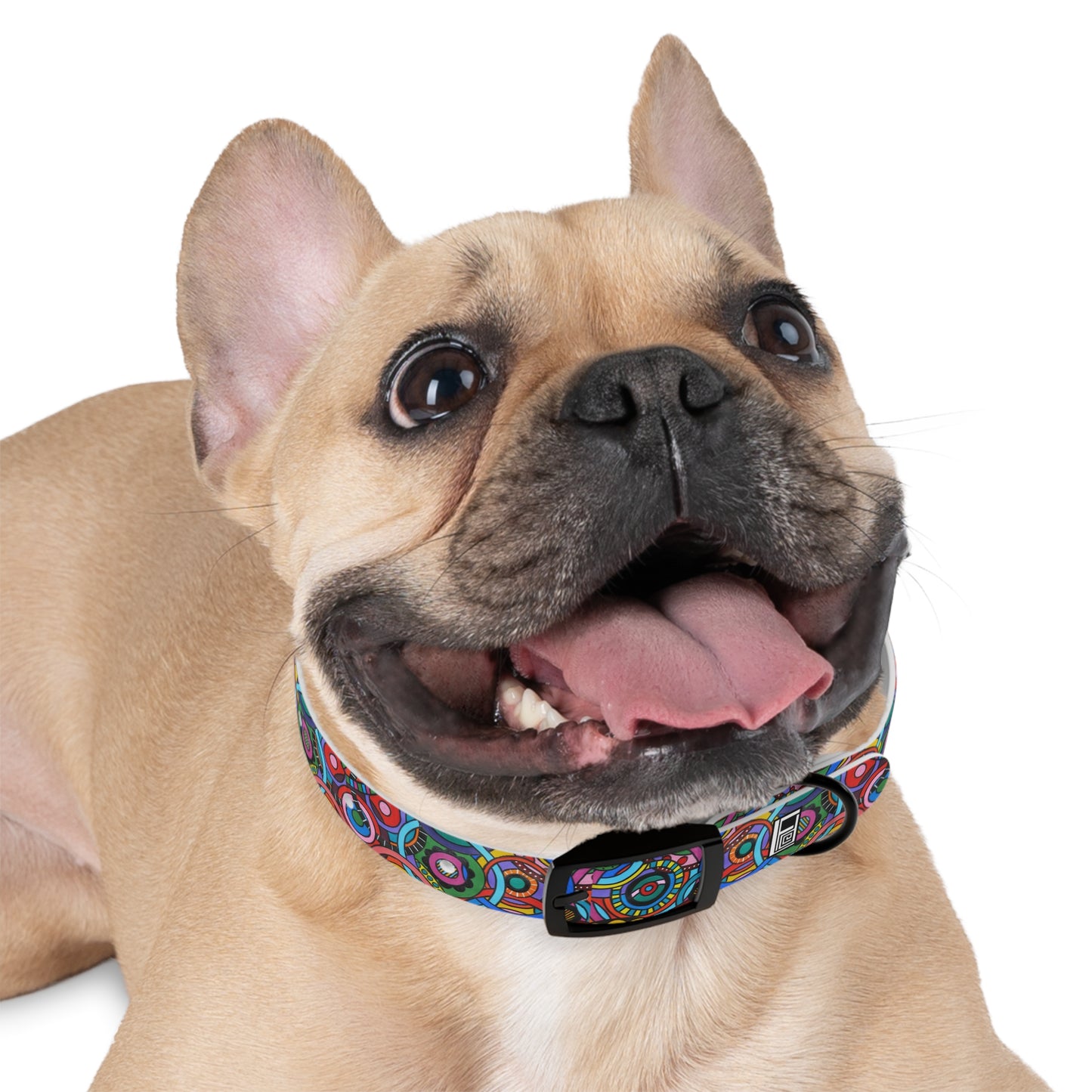 Dog Collar - No. 221 - Interlinked B