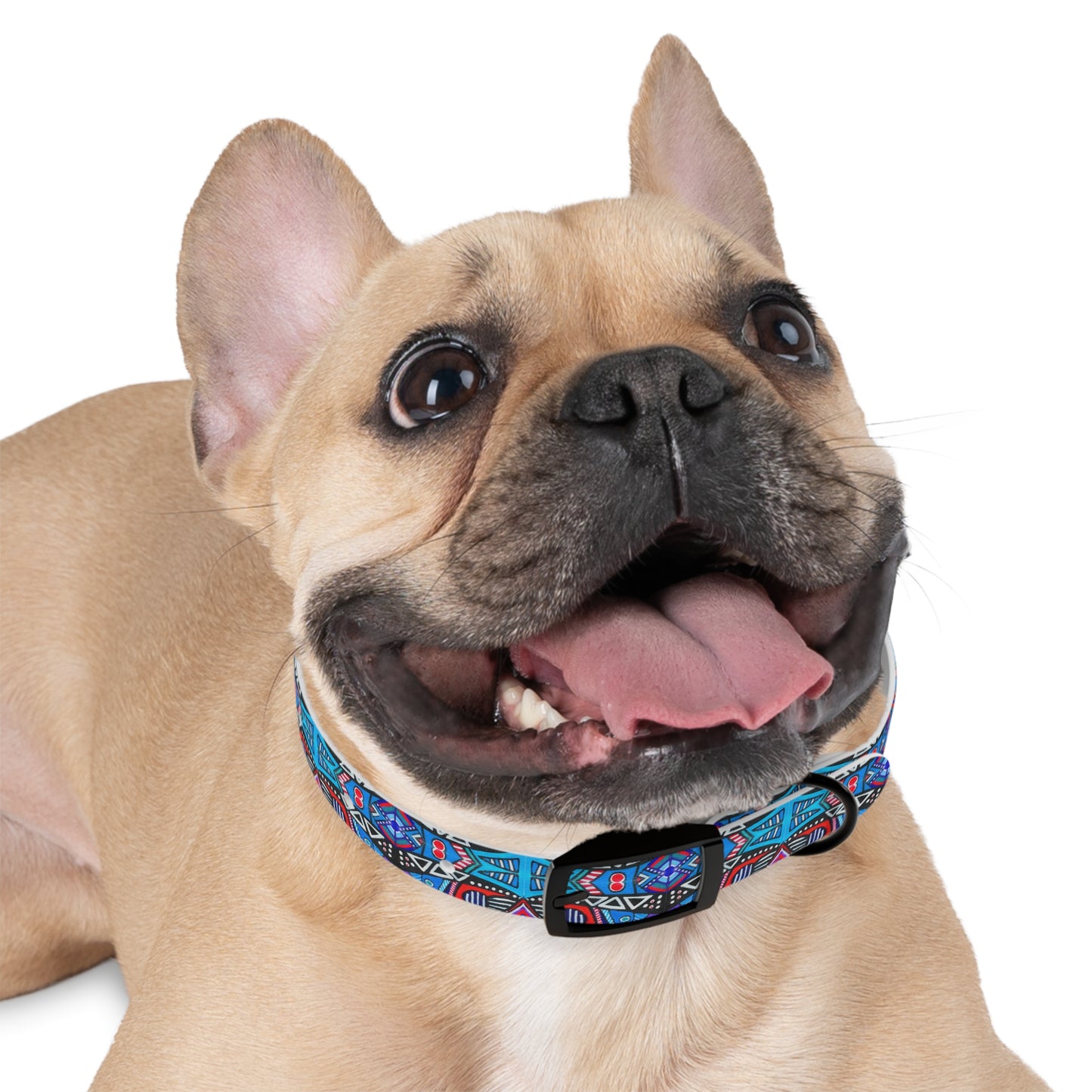 Dog Collar - No. 292 B