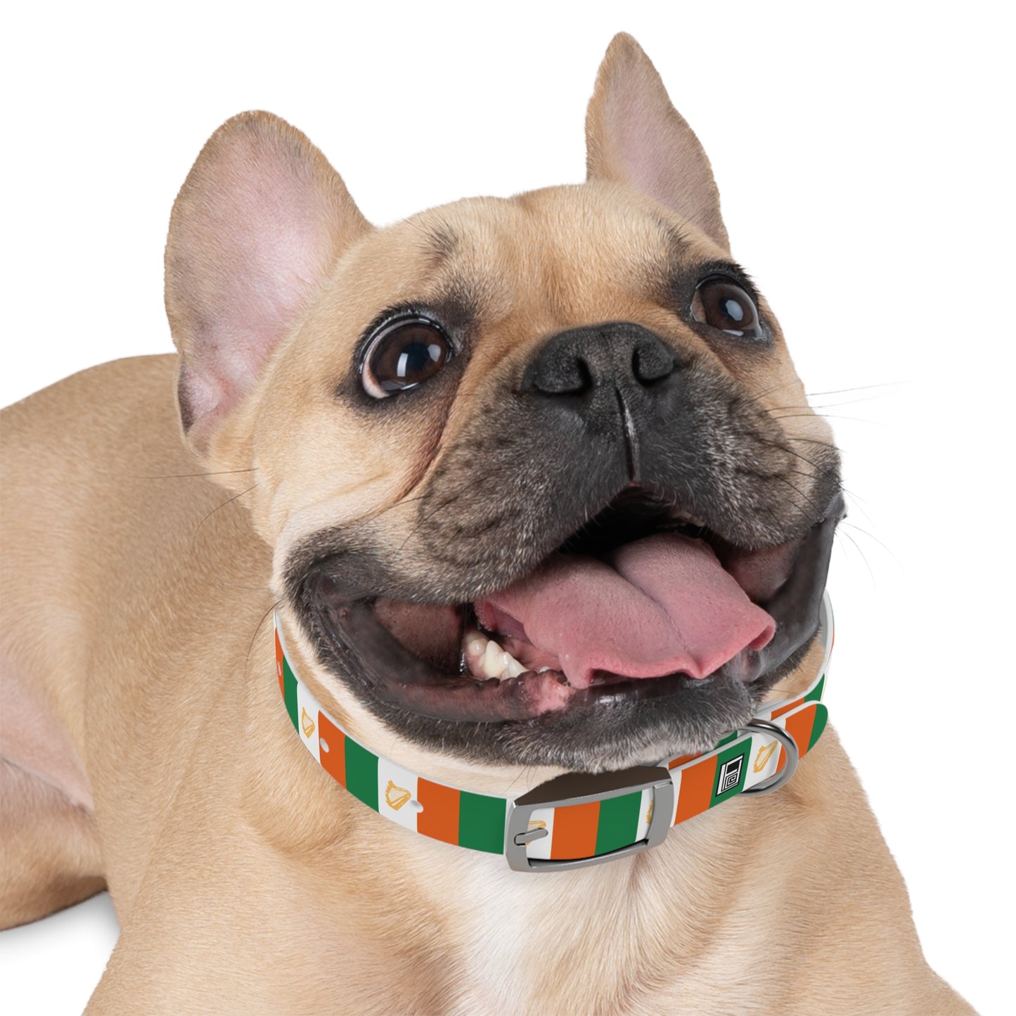 Dog Collar - No. 007 - Harp