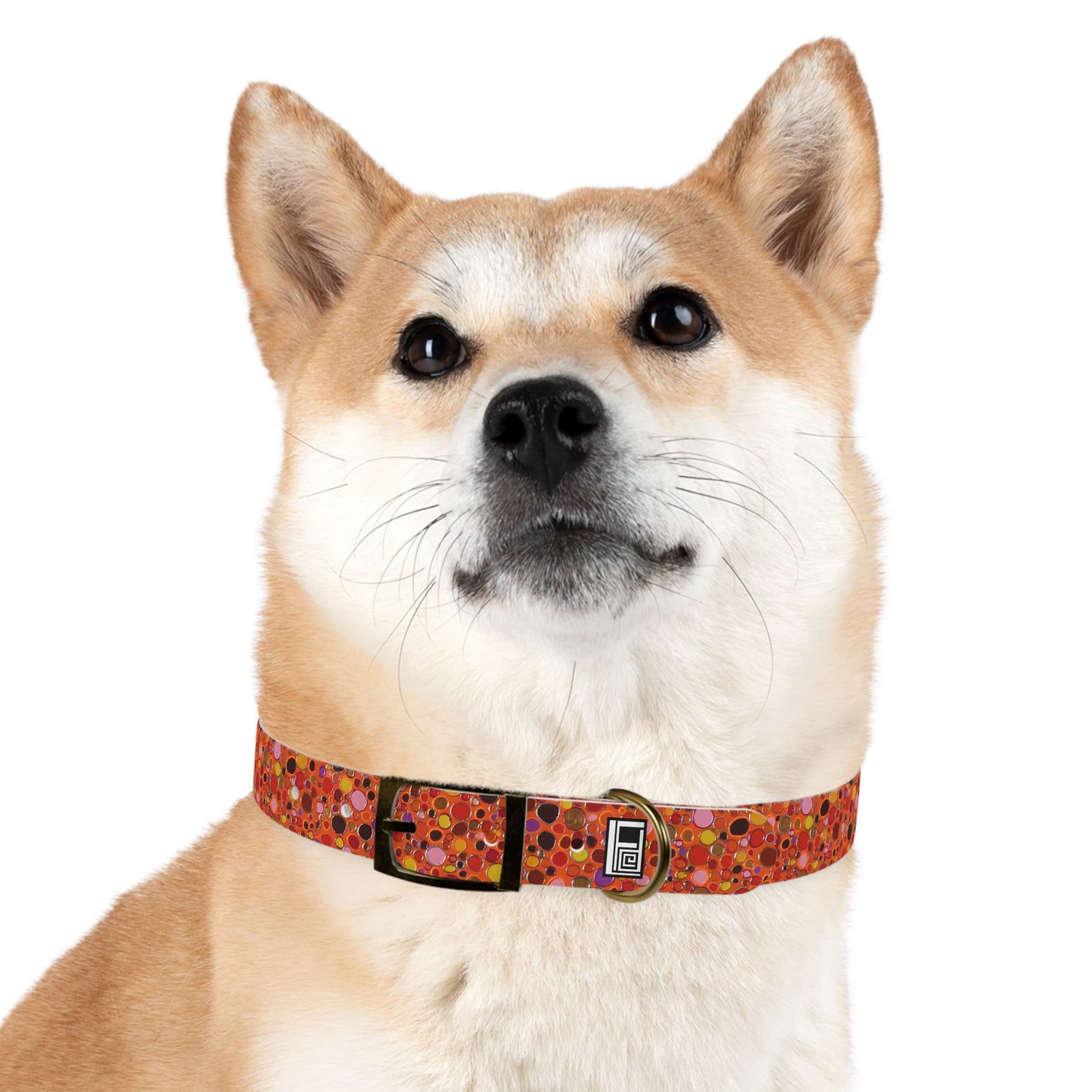 Dog Collar - No. 207