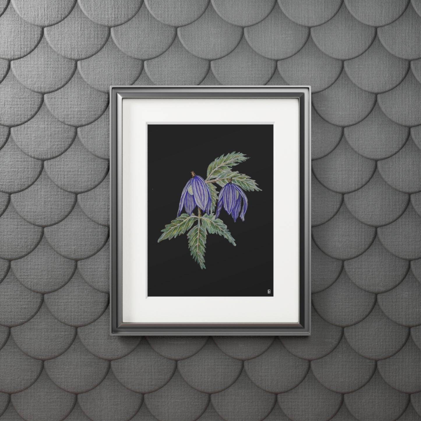 Fine Art Print (Cardboard Frame) - No. 270 - Two purple flowers B