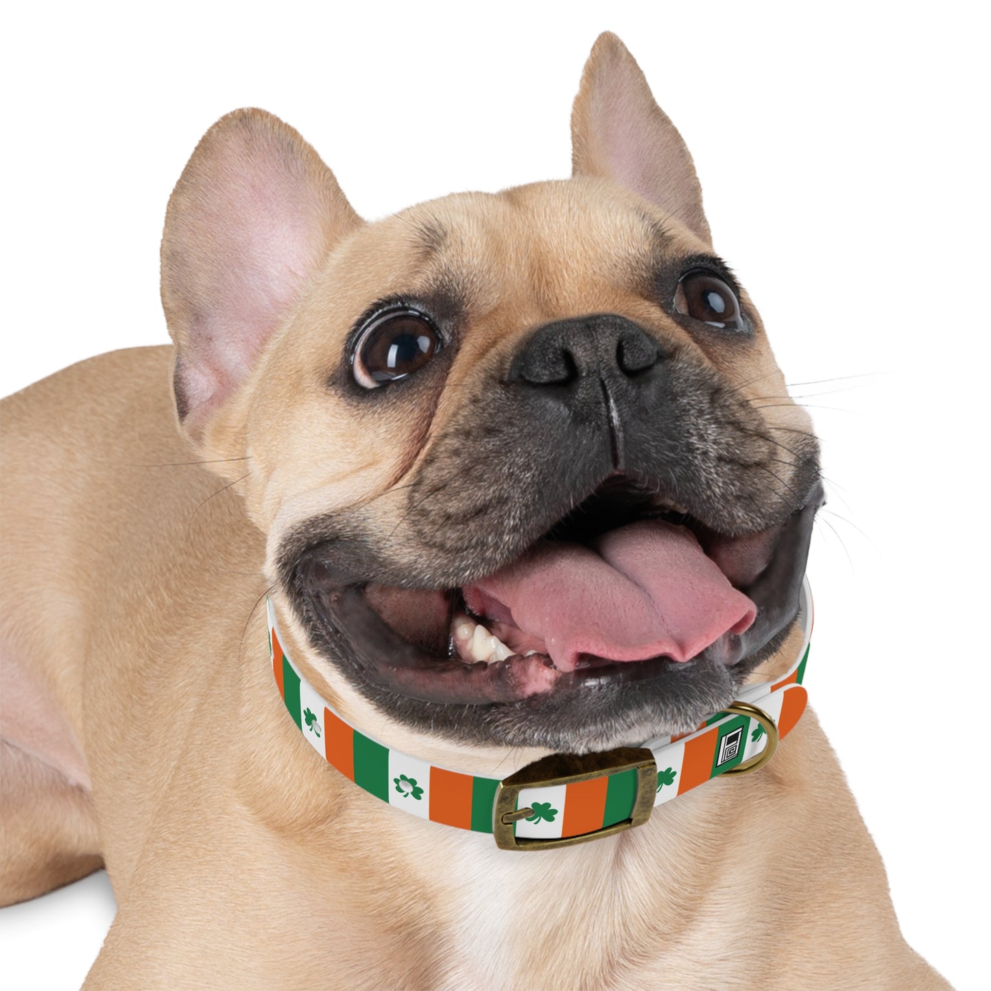 Dog Collar - No. 008 - Shamrock