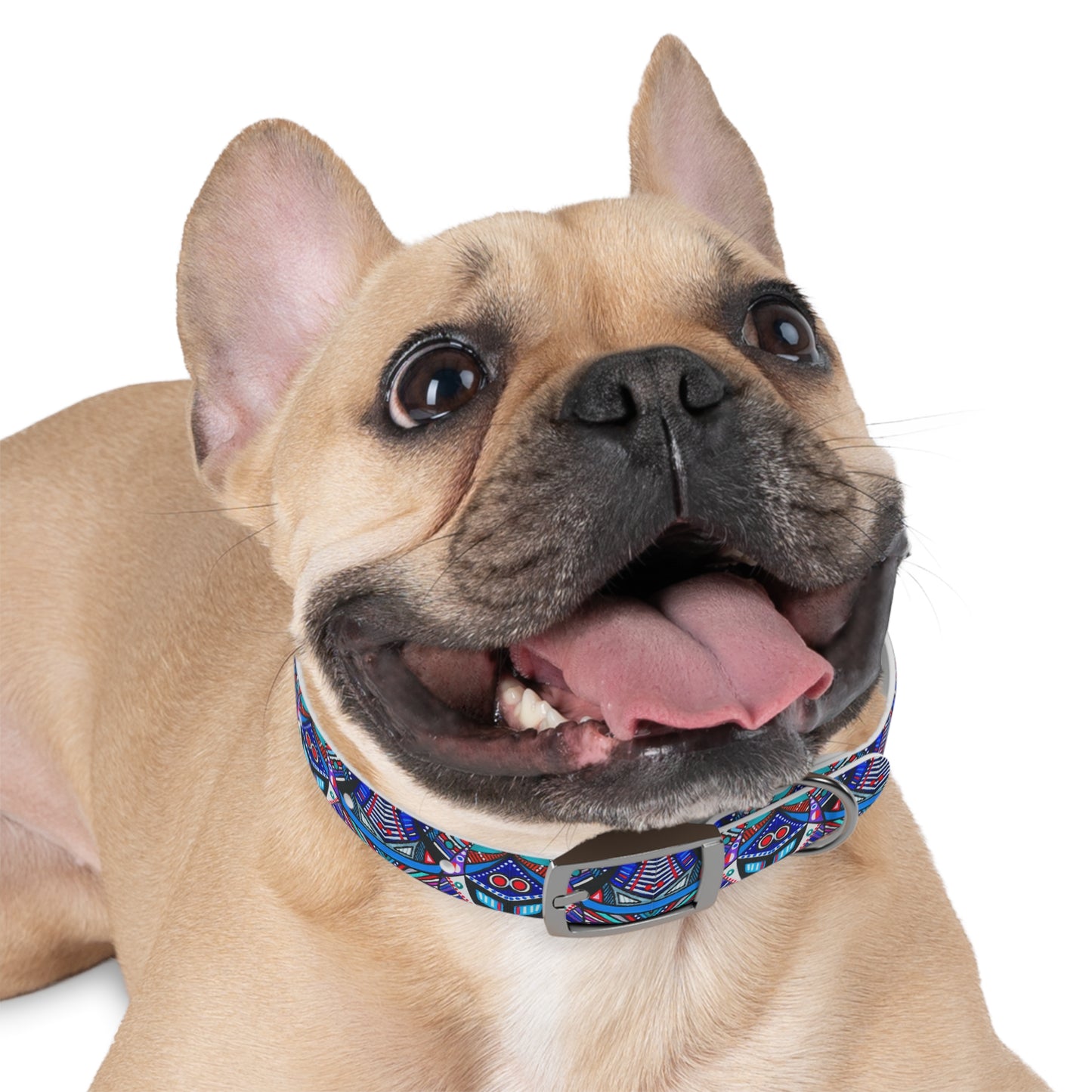 Dog Collar - No. 292 A