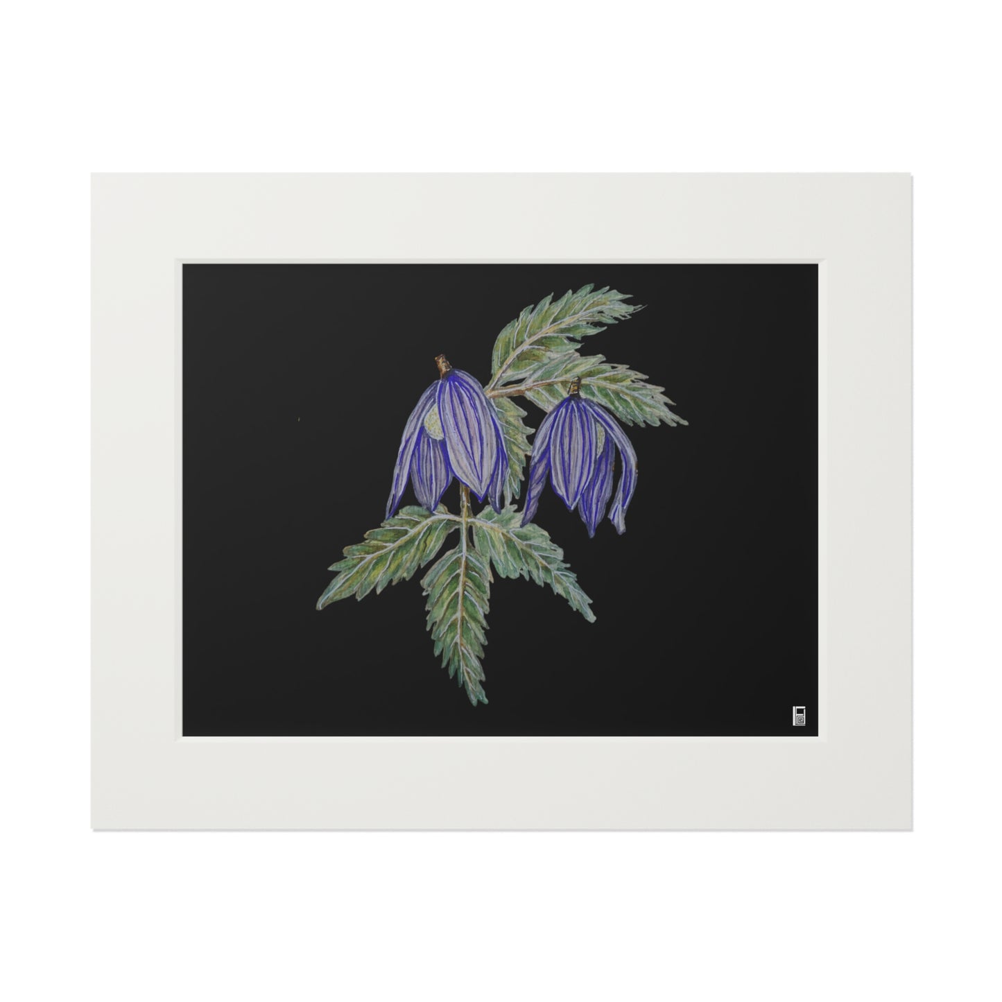 Fine Art Print (Cardboard Frame) - No. 270 - Two purple flowers B