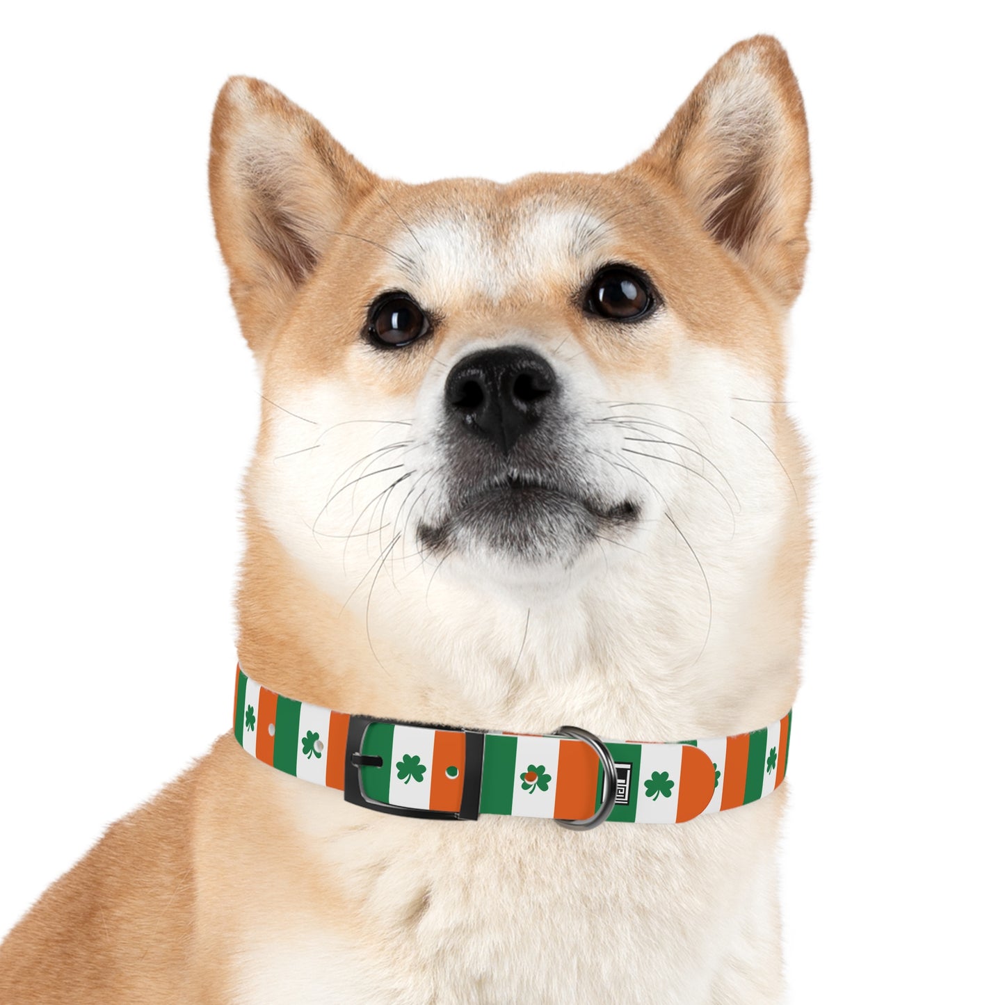 Dog Collar - No. 008 - Shamrock