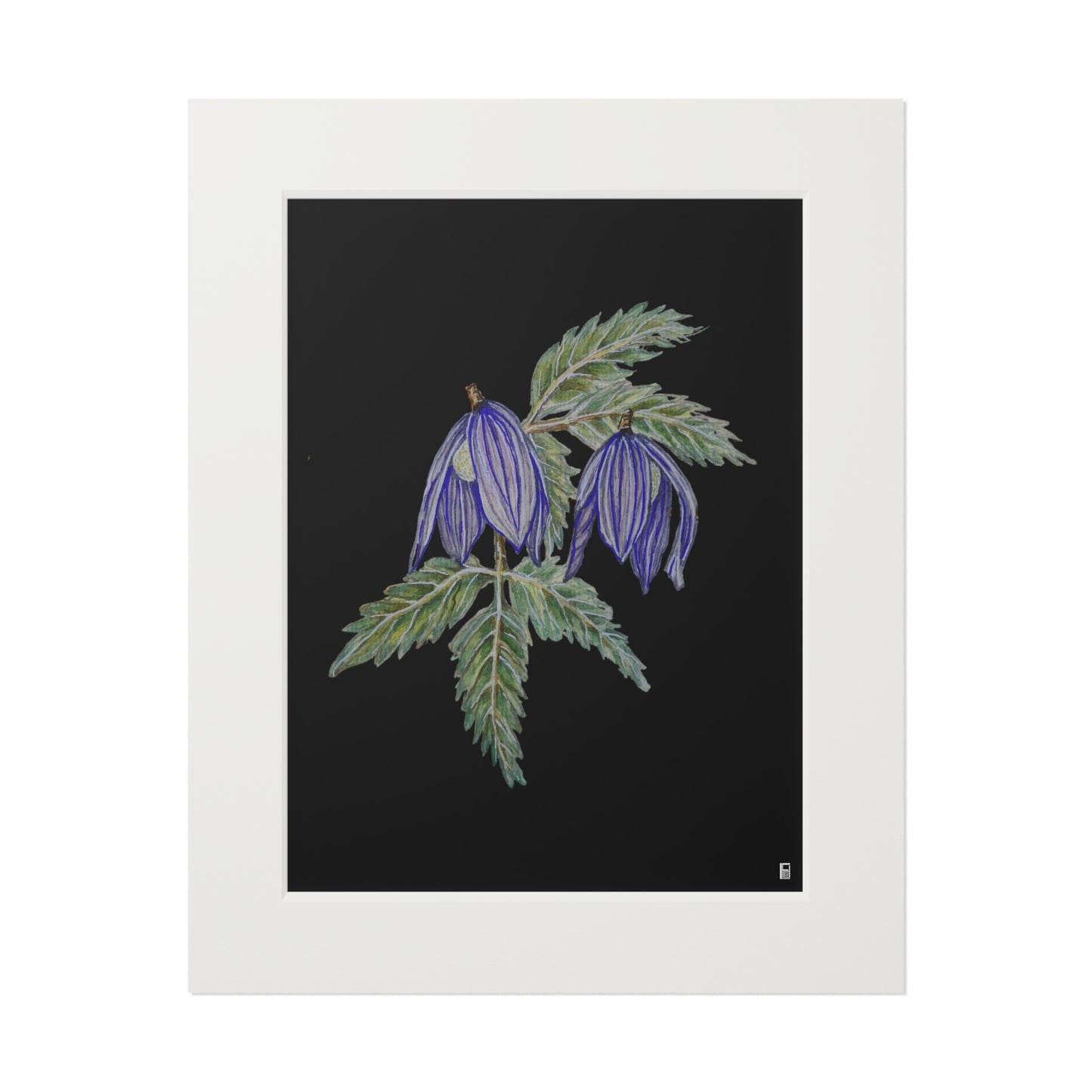 Fine Art Print (Cardboard Frame) - No. 270 - Two purple flowers B