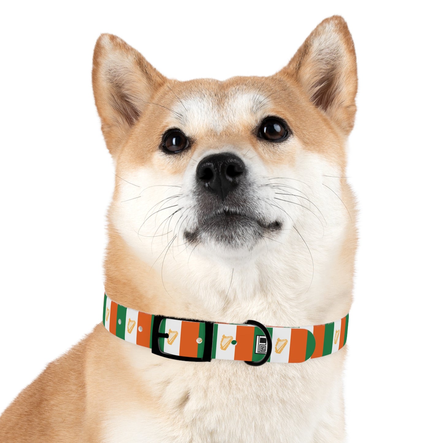 Dog Collar - No. 007 - Harp