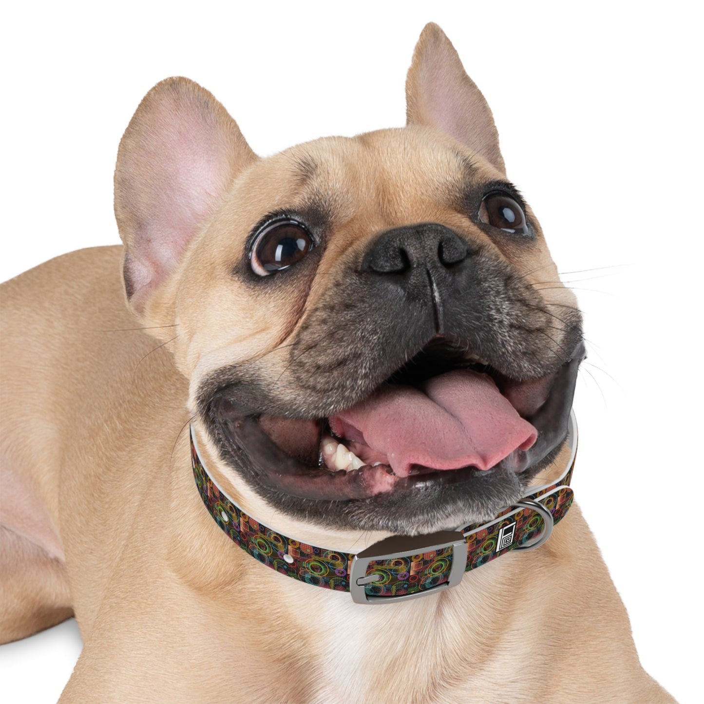 Dog Collar - No. 299