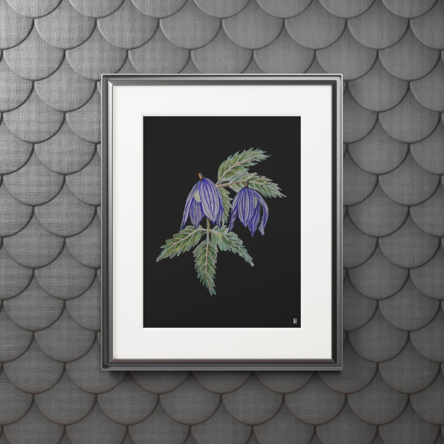 Fine Art Print (Cardboard Frame) - No. 270 - Two purple flowers B