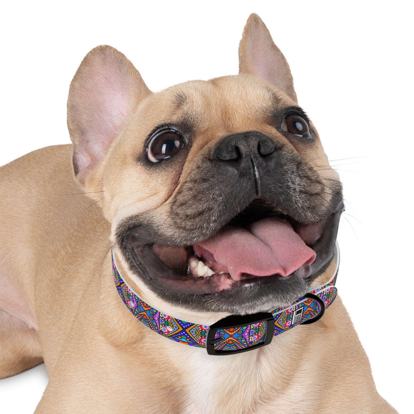 Dog Collar - No. 288 A