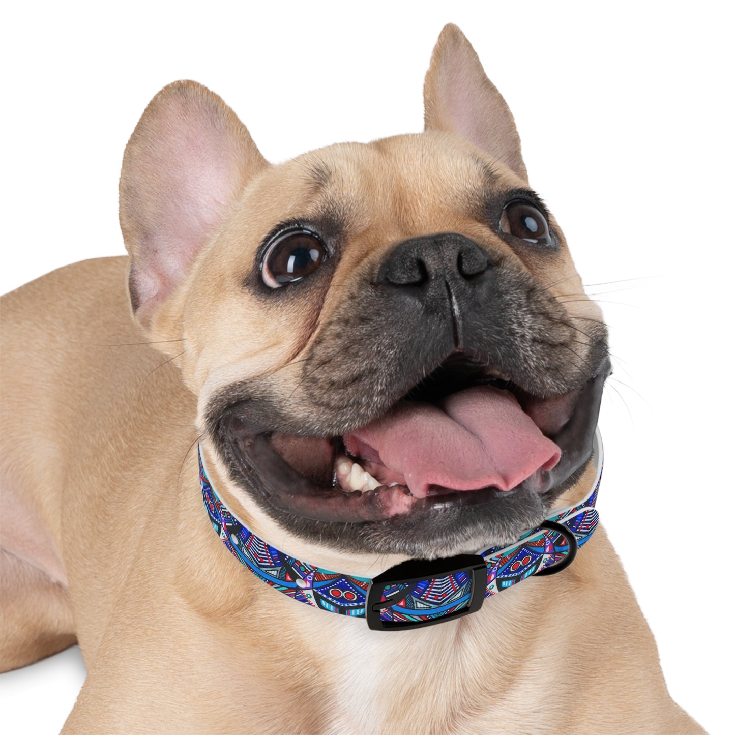 Dog Collar - No. 292 A