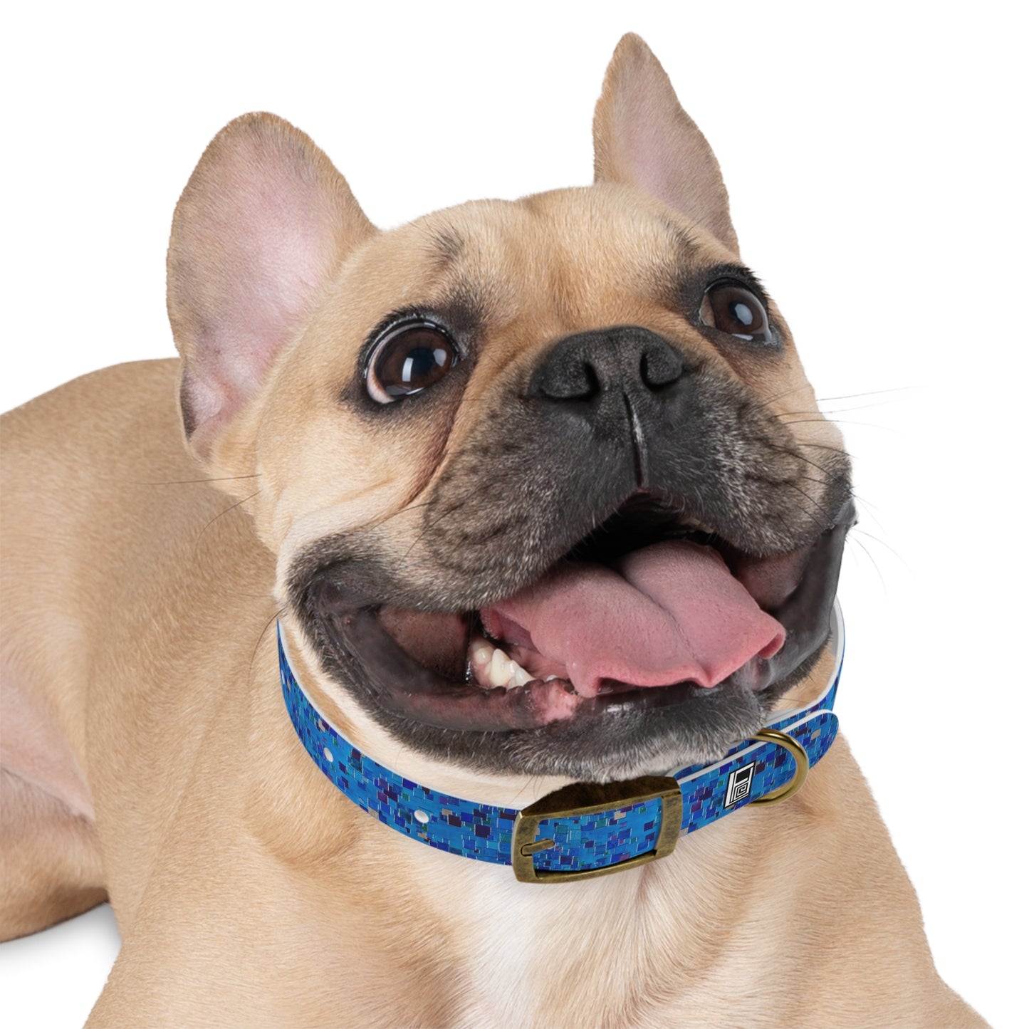 Dog Collar - No. 177
