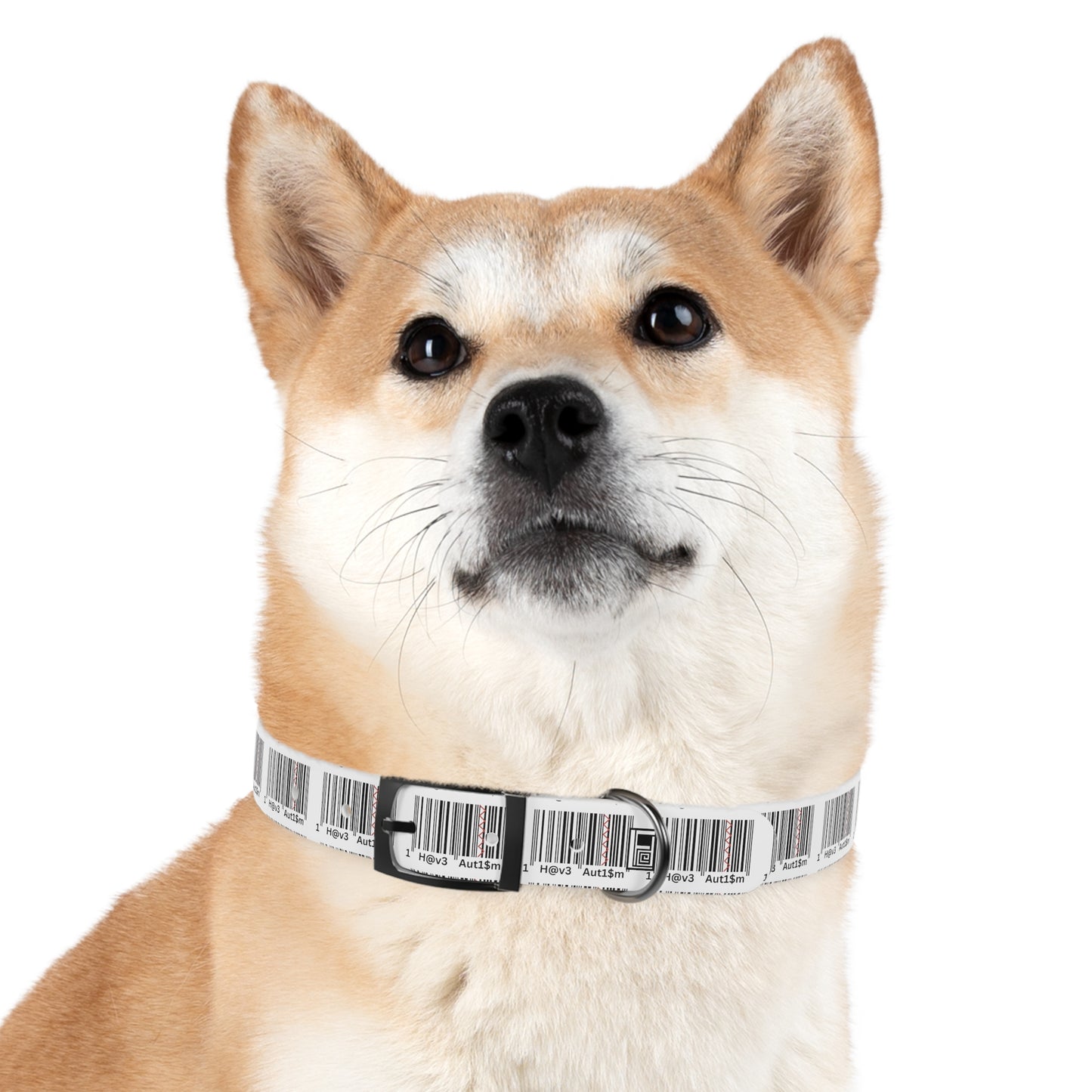 Dog Collar - No. 310