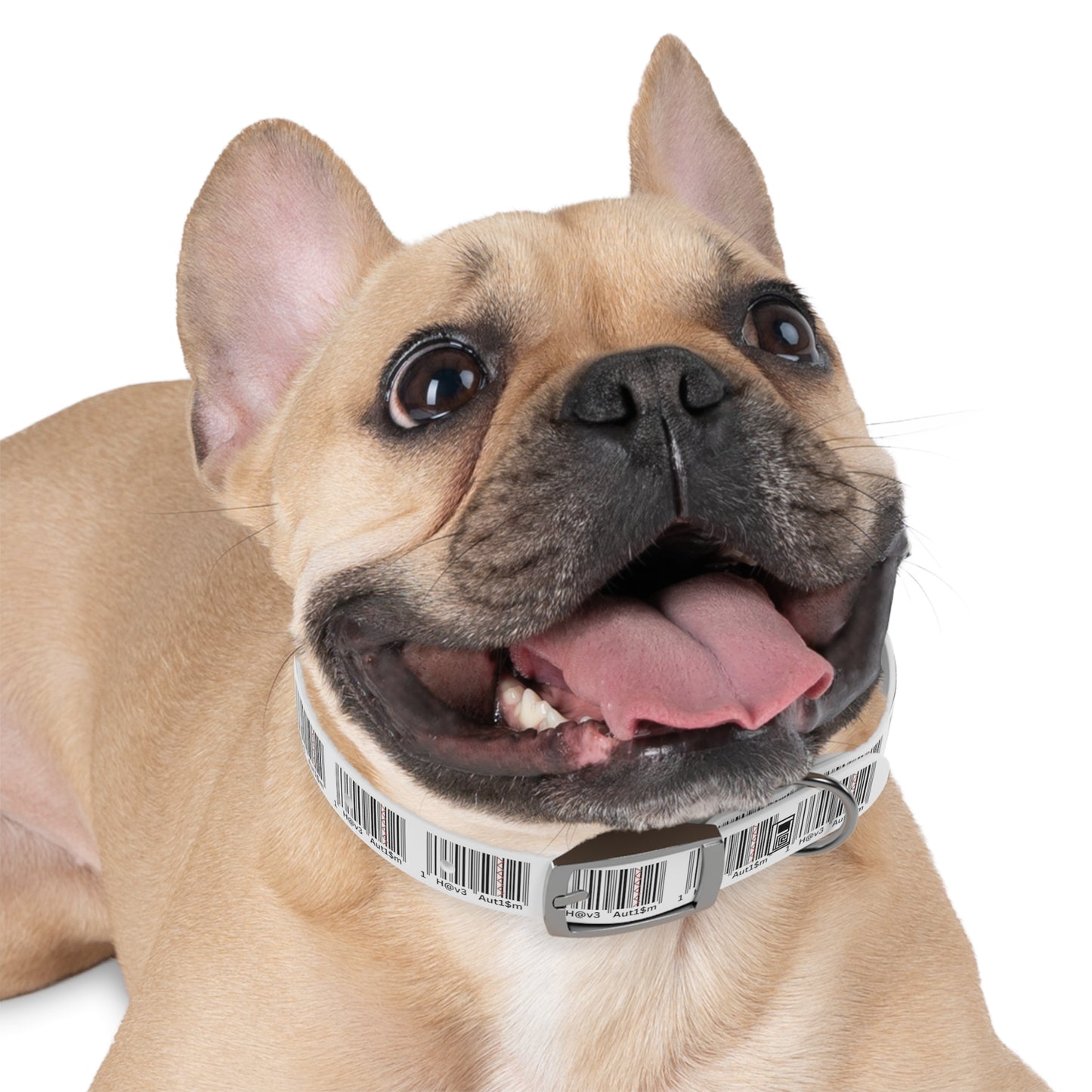 Dog Collar - No. 310