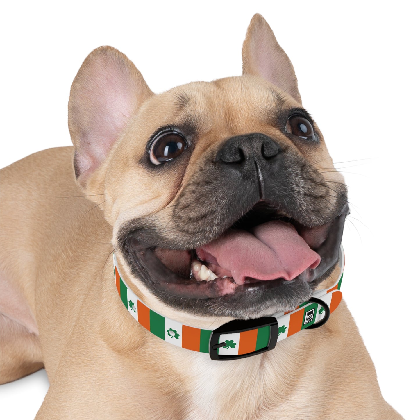 Dog Collar - No. 008 - Shamrock