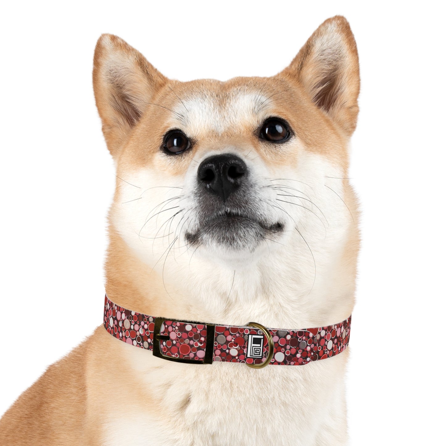 Dog Collar - No. 209