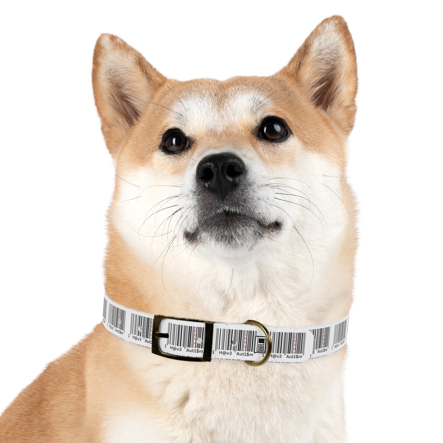 Dog Collar - No. 310
