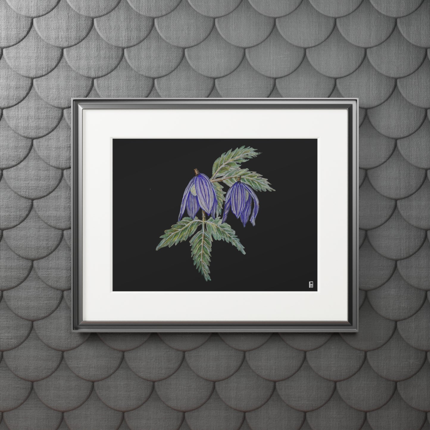 Fine Art Print (Cardboard Frame) - No. 270 - Two purple flowers B