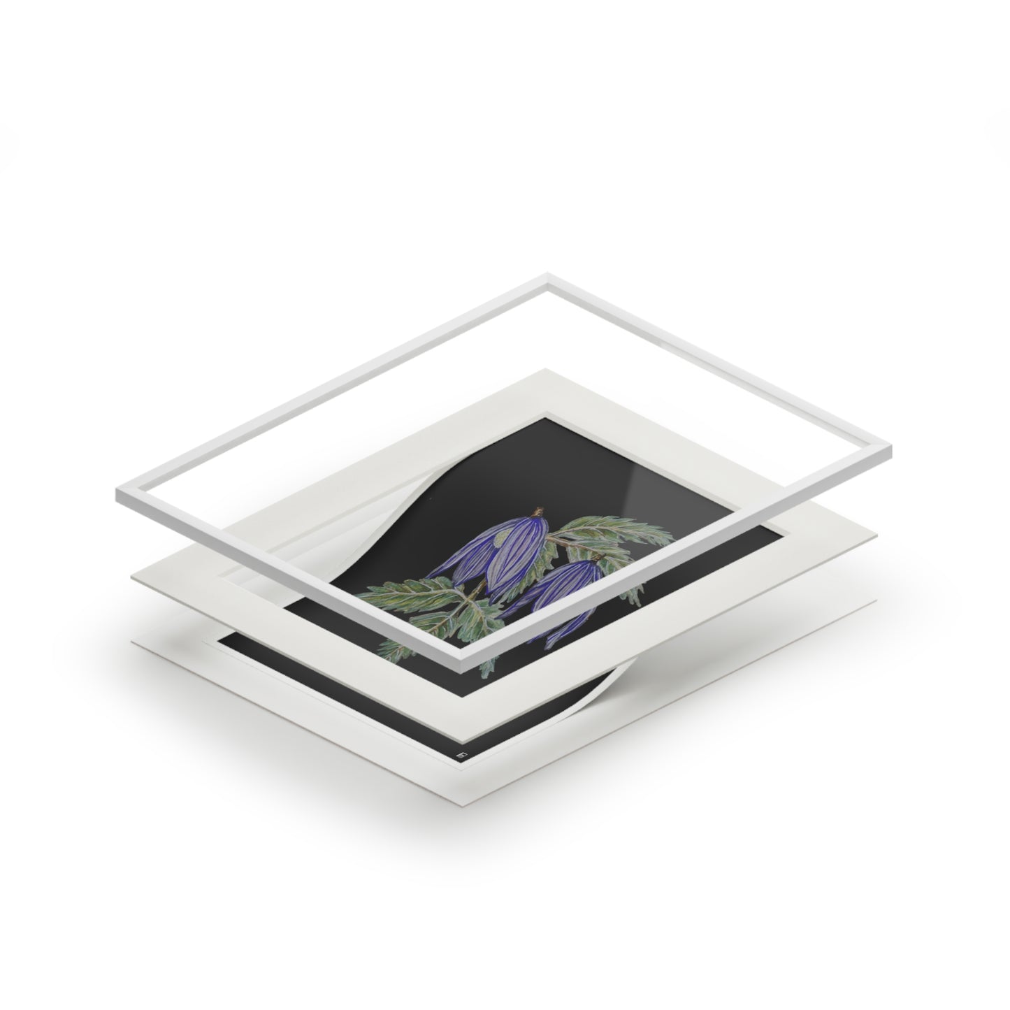Fine Art Print (Cardboard Frame) - No. 270 - Two purple flowers B