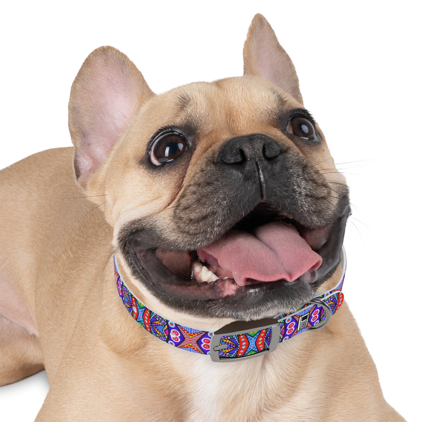 Dog Collar - No. 291 A