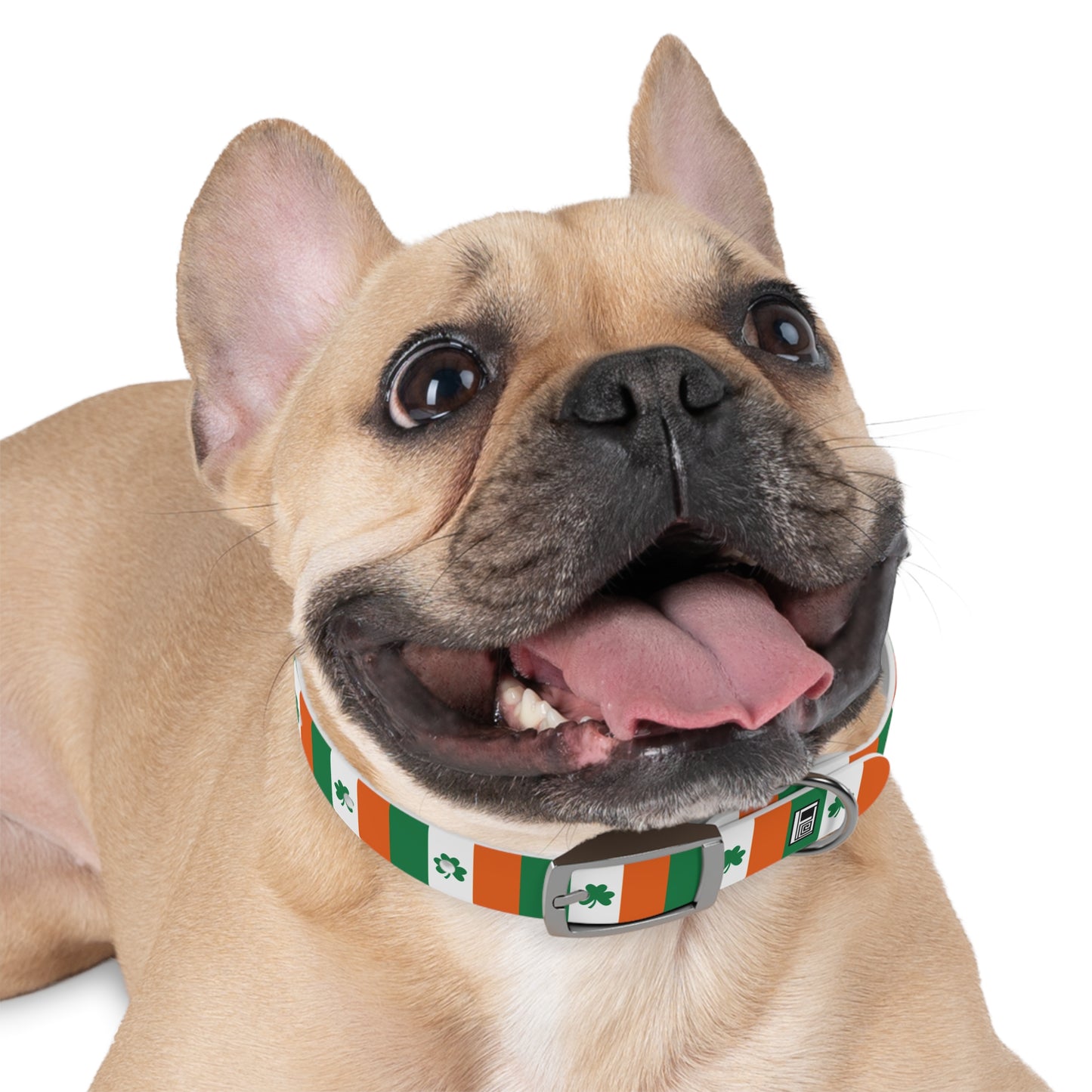 Dog Collar - No. 008 - Shamrock