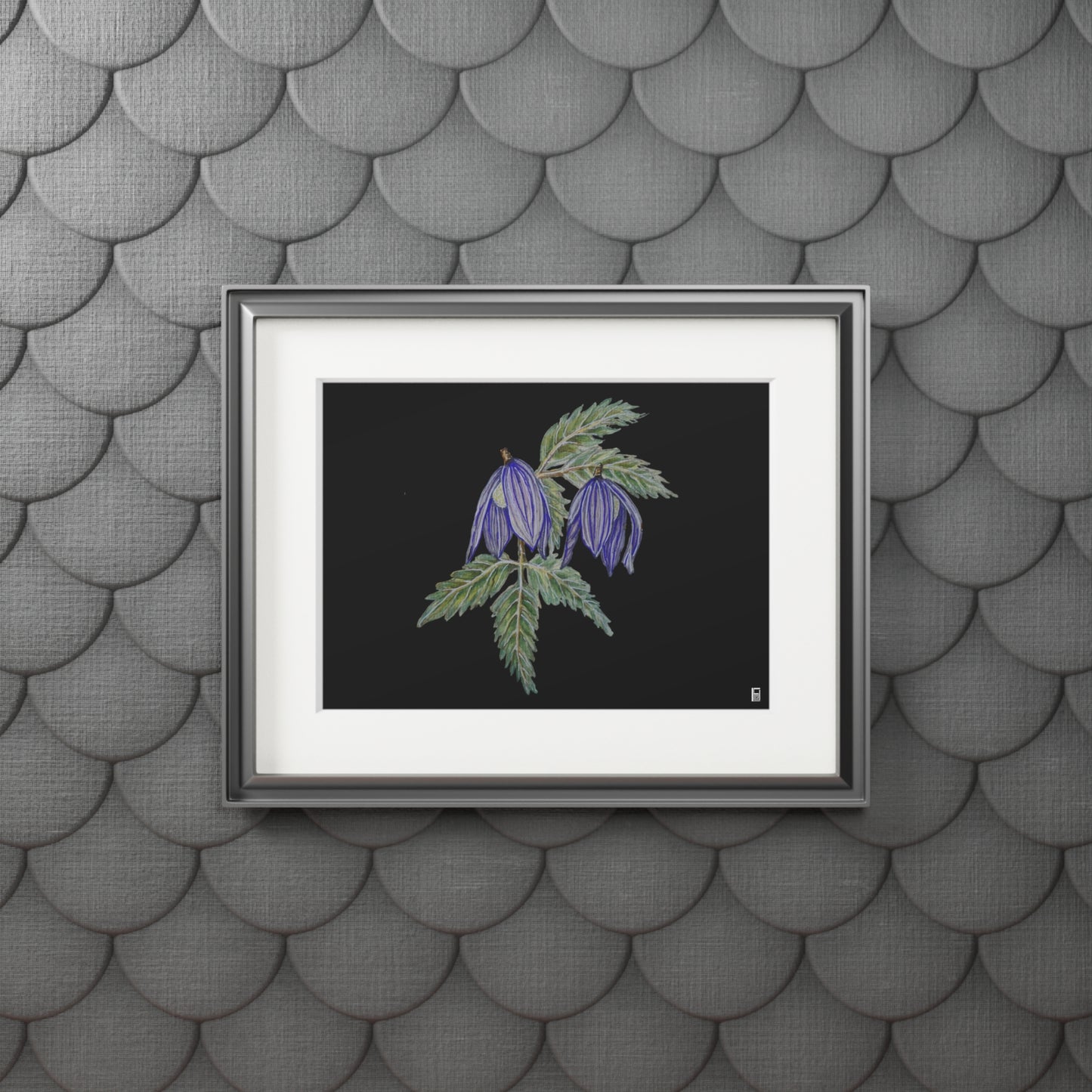 Fine Art Print (Cardboard Frame) - No. 270 - Two purple flowers B