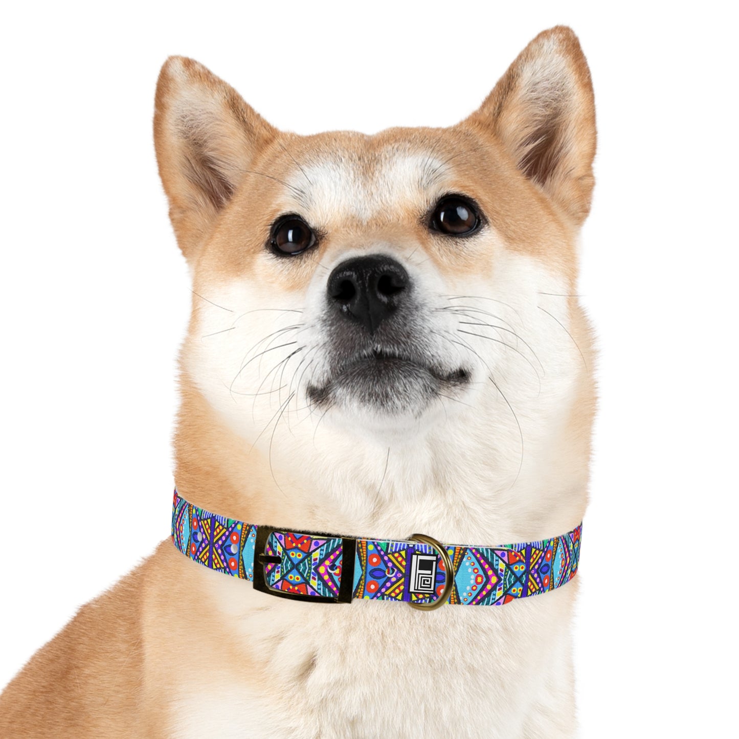 Dog Collar - No. 291 B