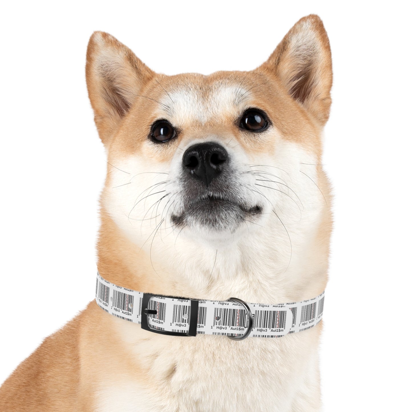 Dog Collar - No. 310