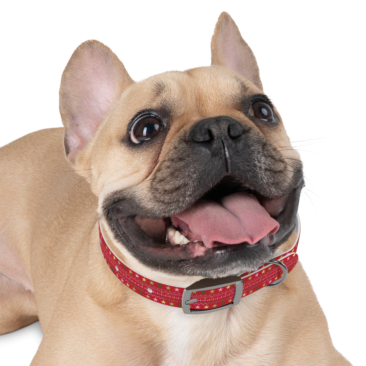 Dog Collar - No. Xmas 2