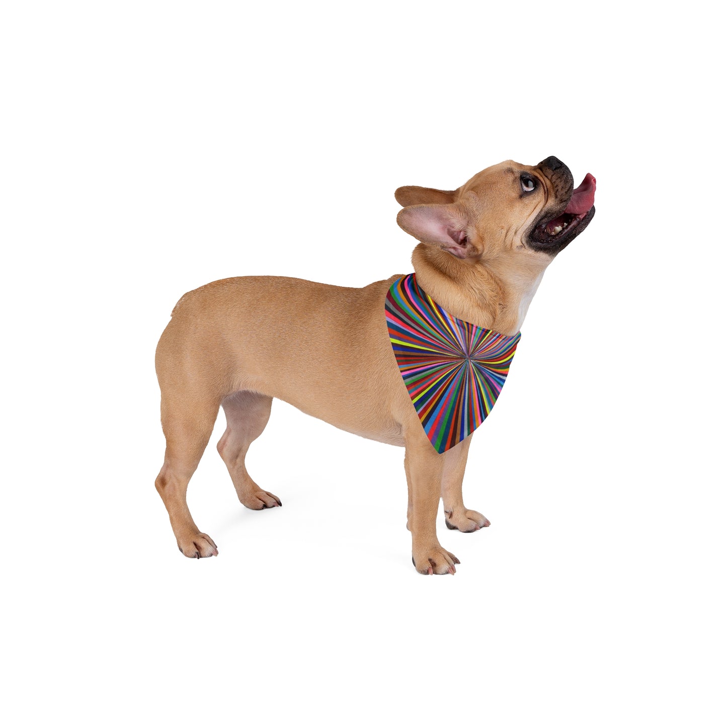 Pet Bandana - No. 205 - Spectrum