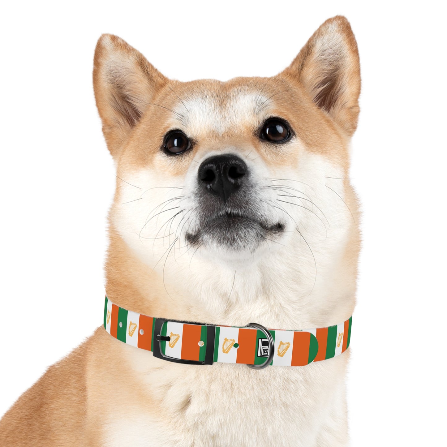 Dog Collar - No. 007 - Harp