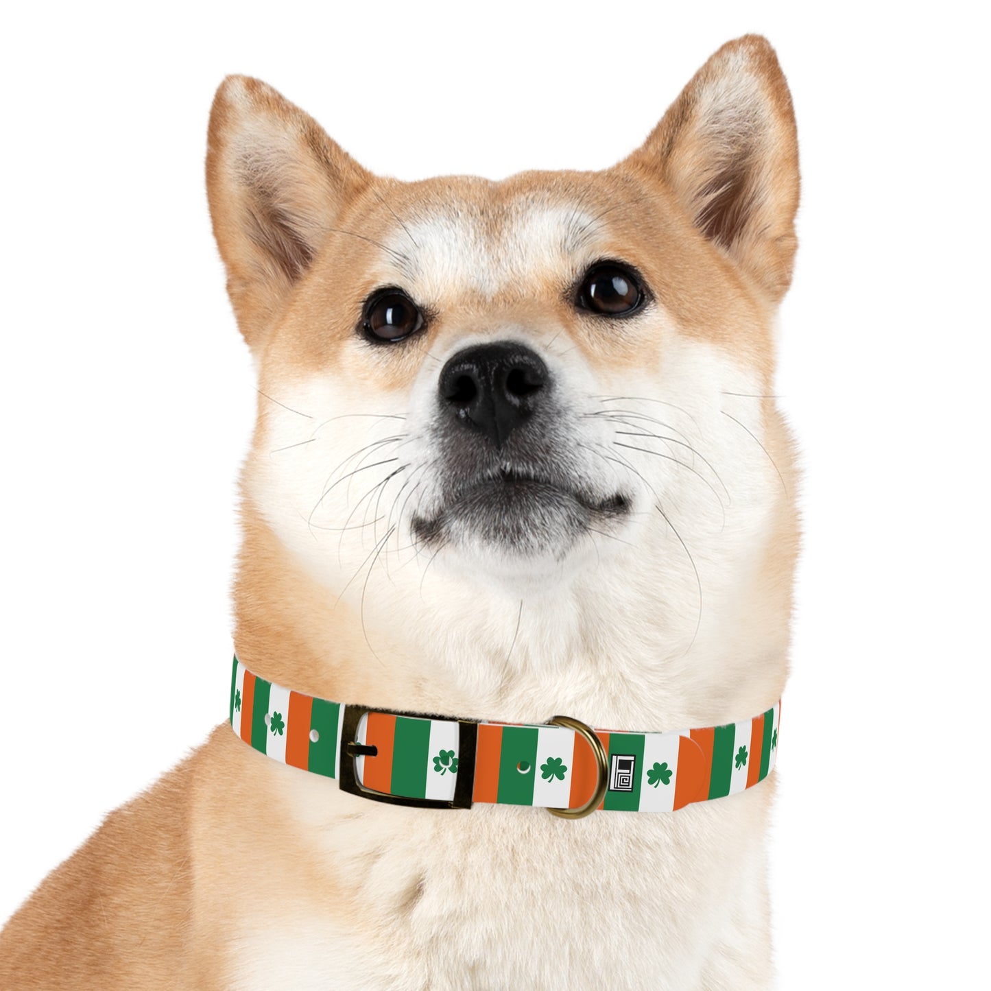 Dog Collar - No. 008 - Shamrock