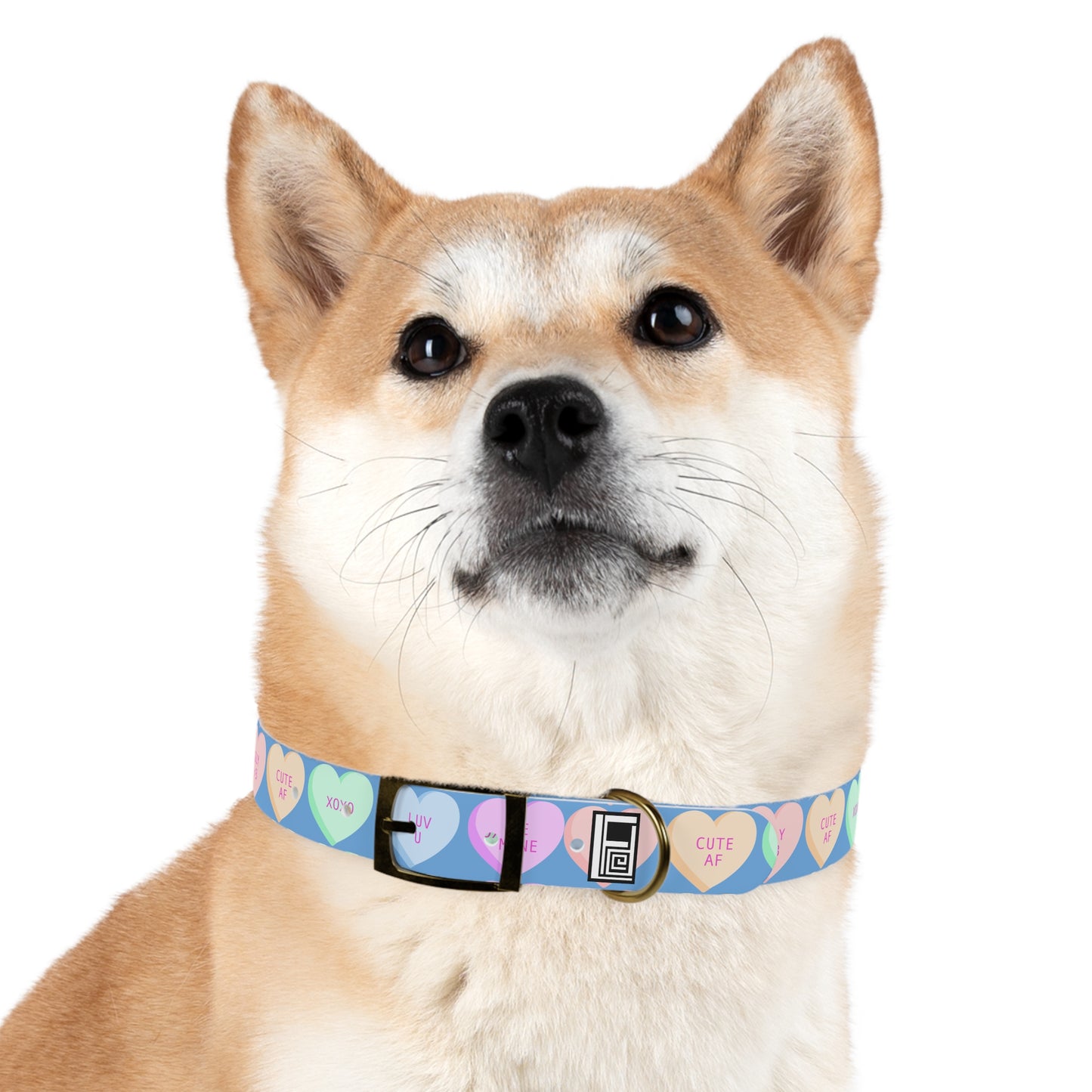 Dog Collar - Blue with Hearts