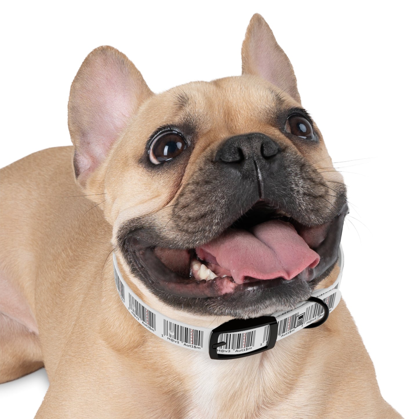 Dog Collar - No. 310