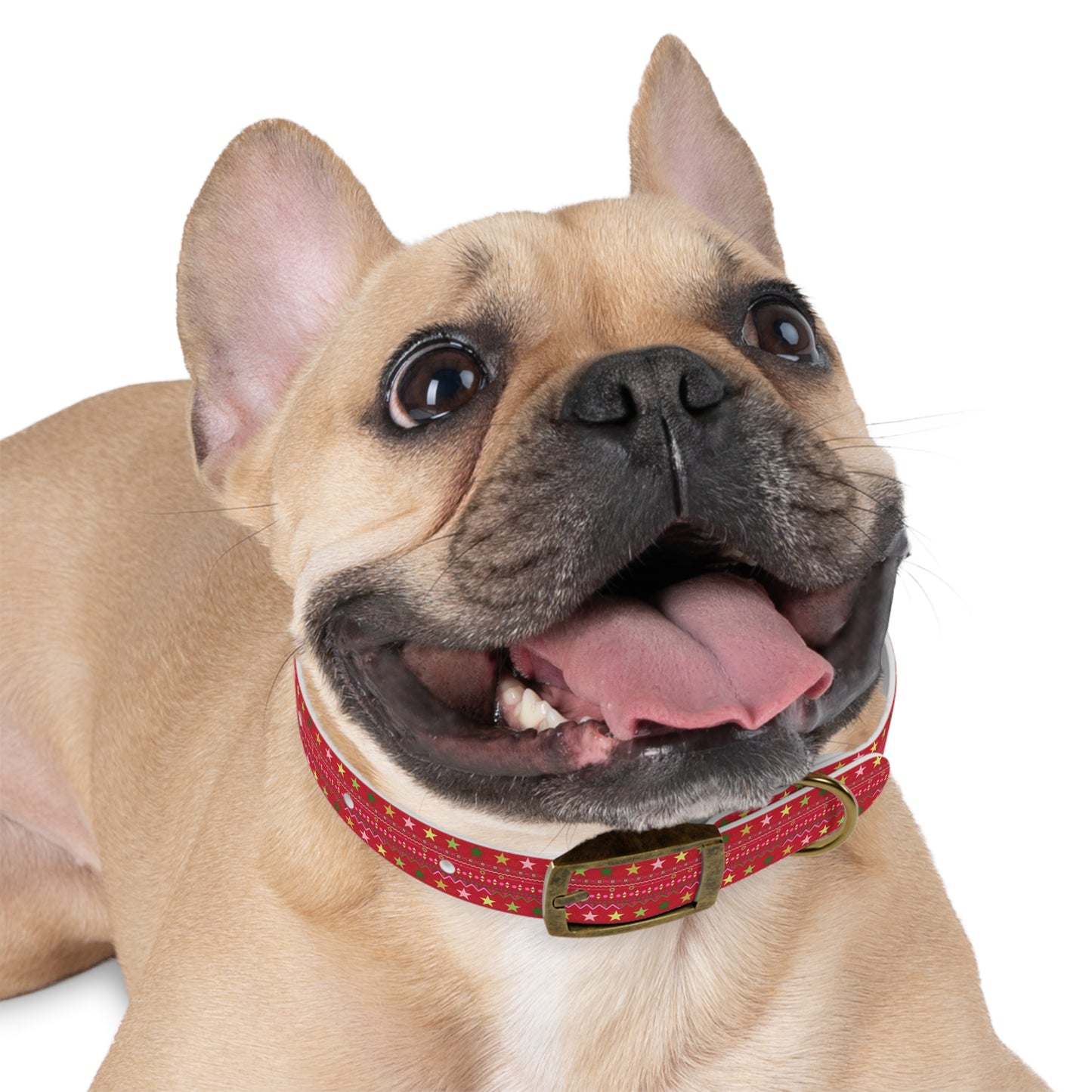 Dog Collar - No. Xmas 2