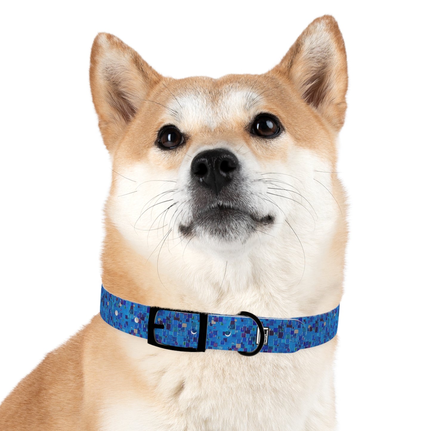 Dog Collar - No. 177