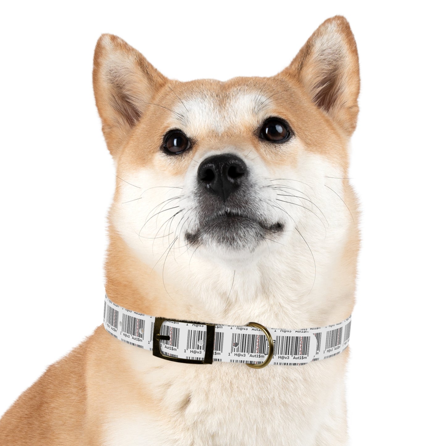Dog Collar - No. 310