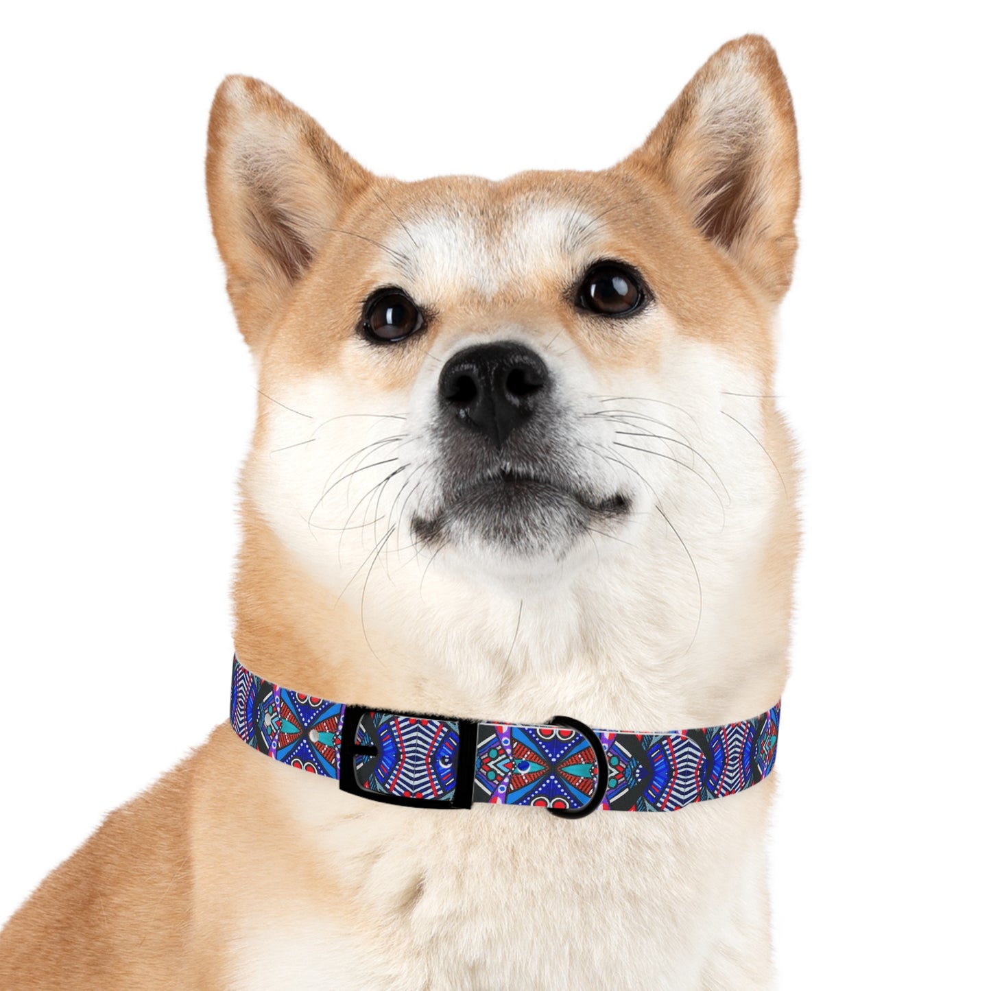 Dog Collar - No. 292 A
