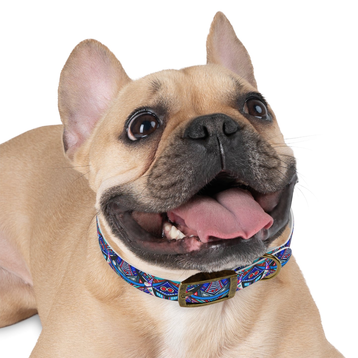 Dog Collar - No. 292 A