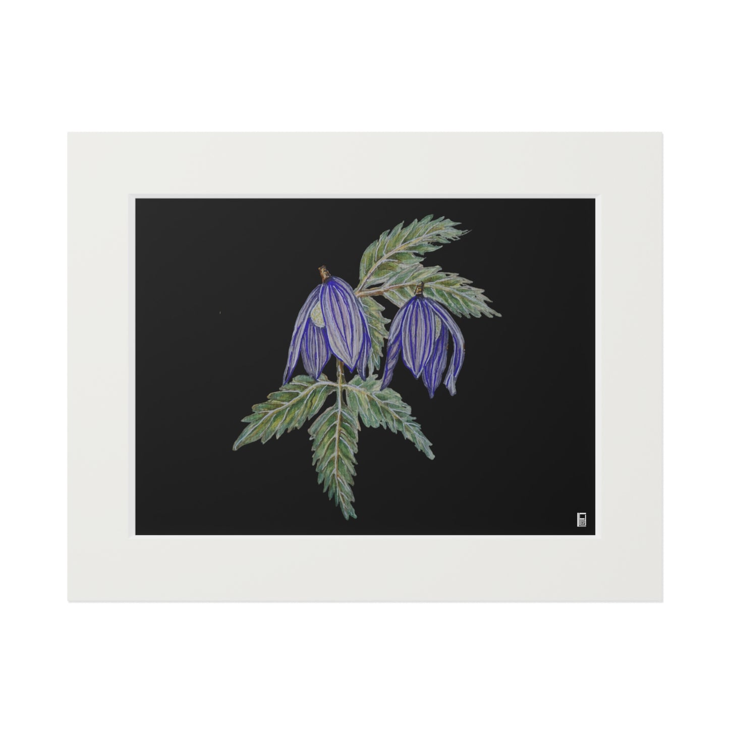 Fine Art Print (Cardboard Frame) - No. 270 - Two purple flowers B