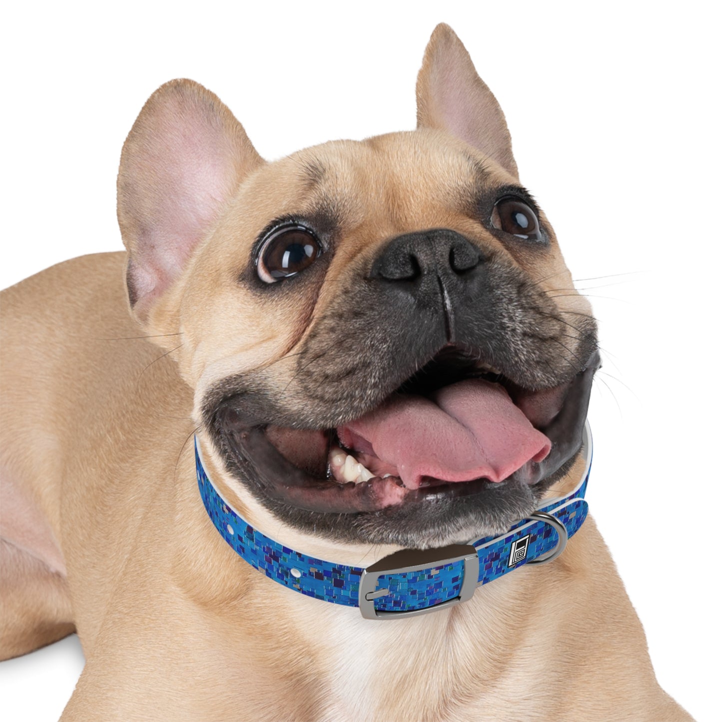 Dog Collar - No. 177