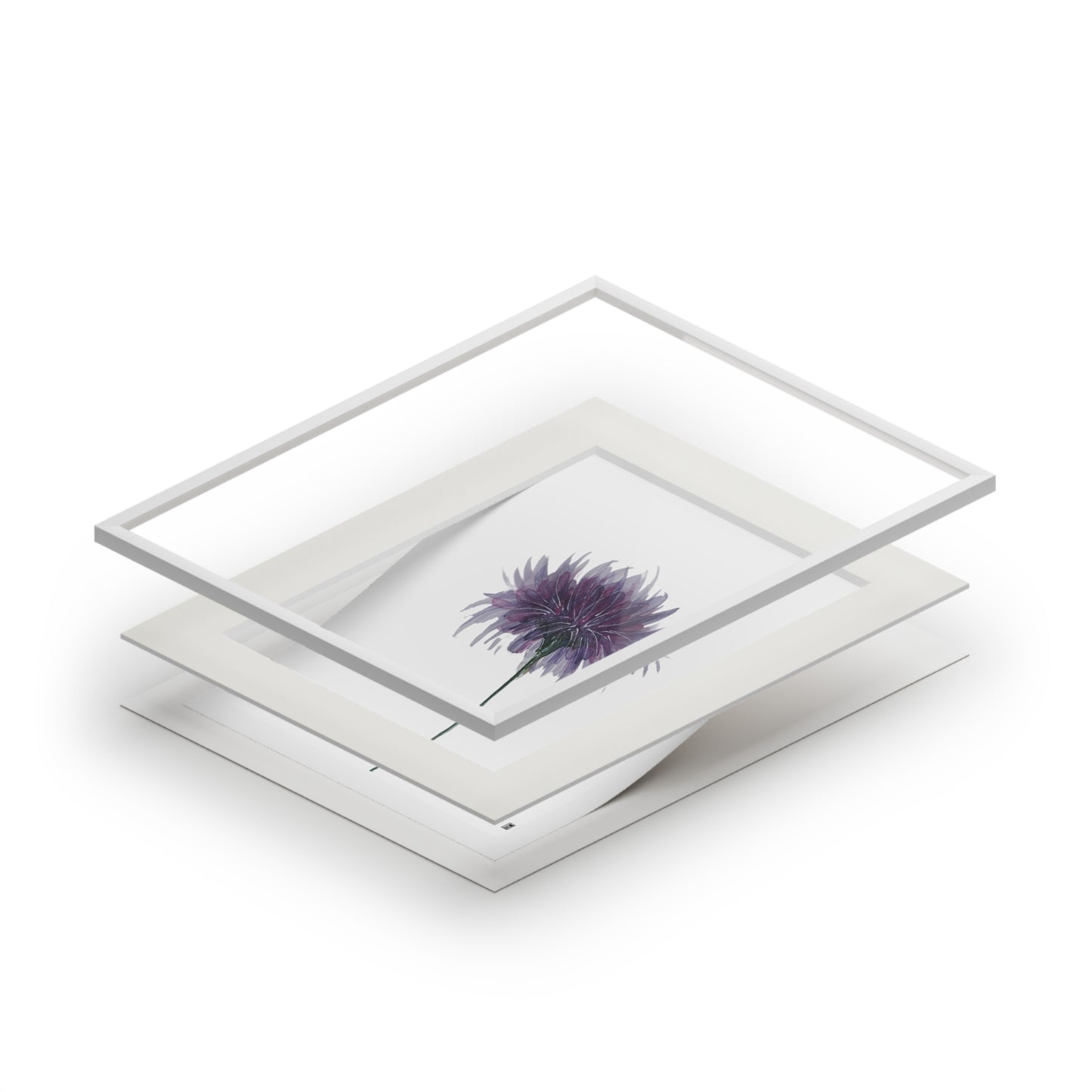 Fine Art Print (Cardboard Frame) - No. 268 - Purple Flower