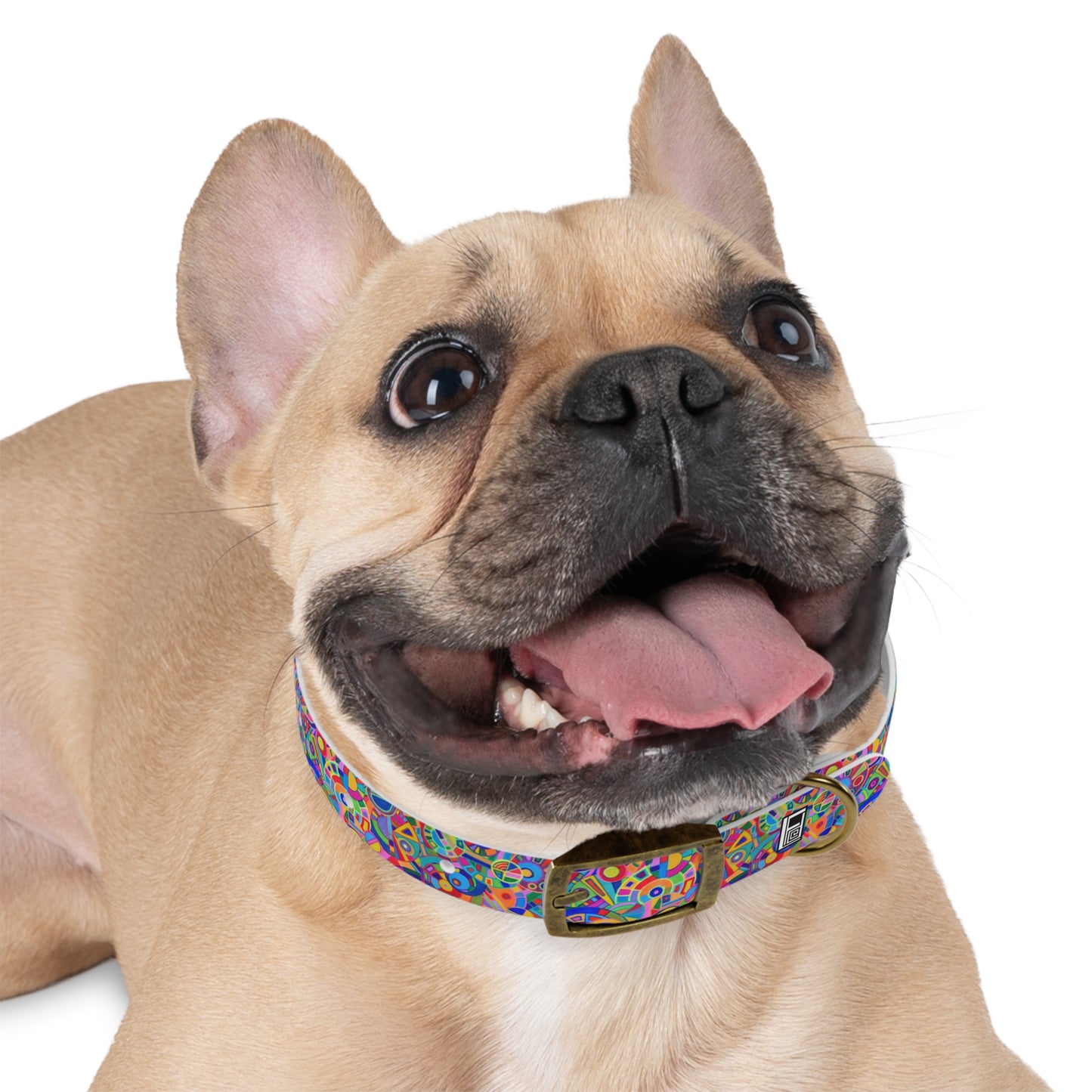 Dog Collar - No. 265