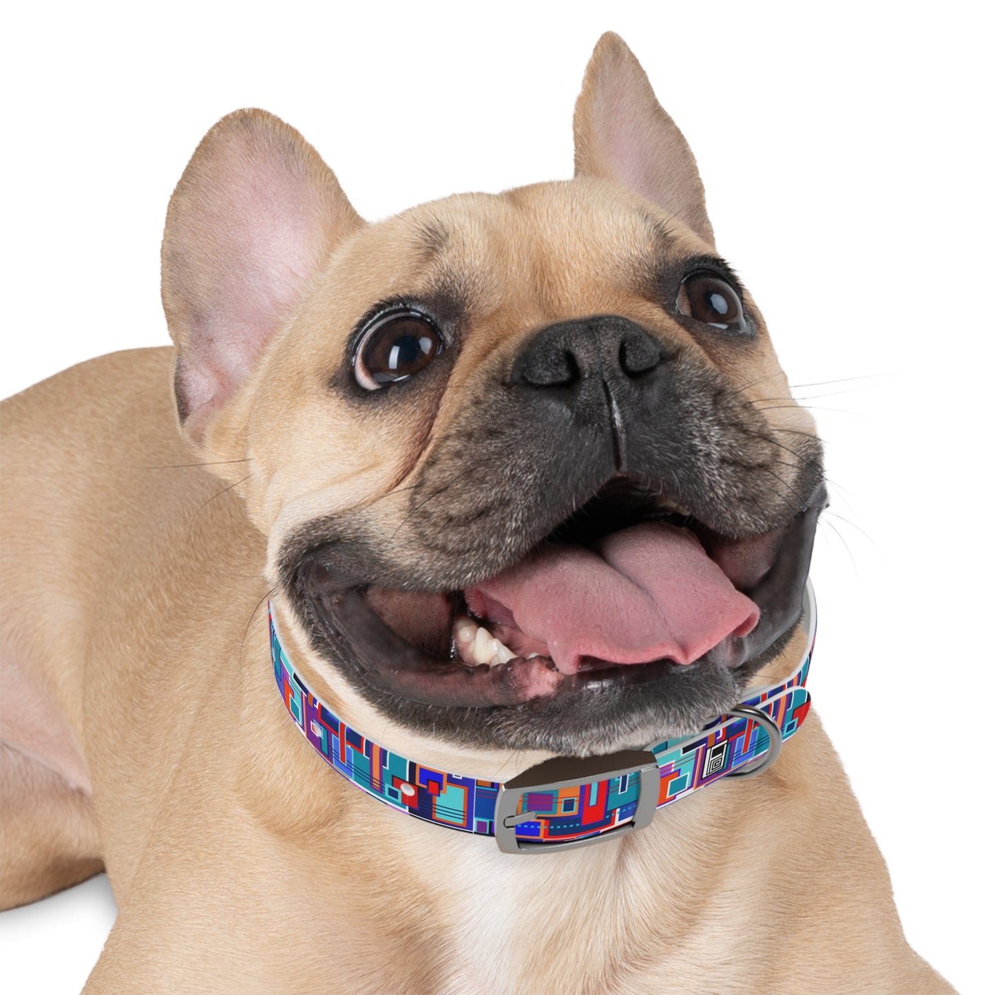 Dog Collar - No. 233 A - Squared 1